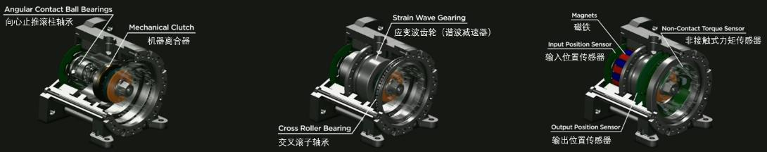 Tesla Optimus Rotary Actuator Structure, Source: Tesla